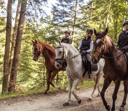 a group of people riding horses down a dirt road