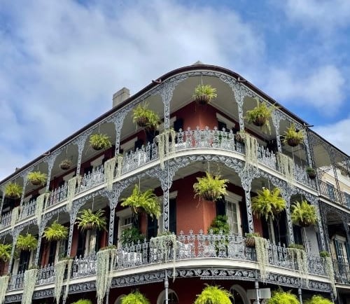 a building in new orleans with a bunch of plants on the side of it