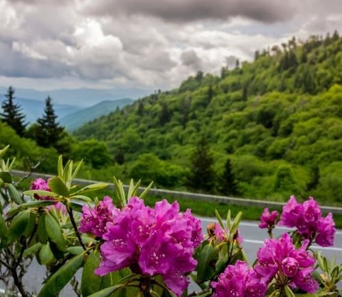 Great smoky mountains national park