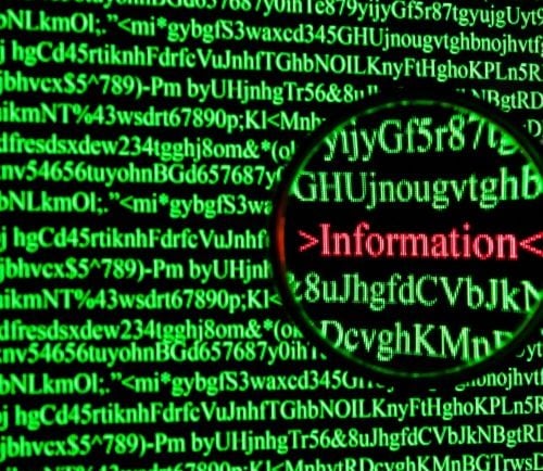 a person is looking on a computer with a magnifying glass