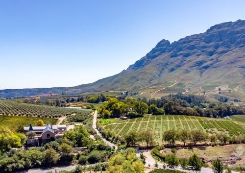 a vineyard with a view of a vineyard