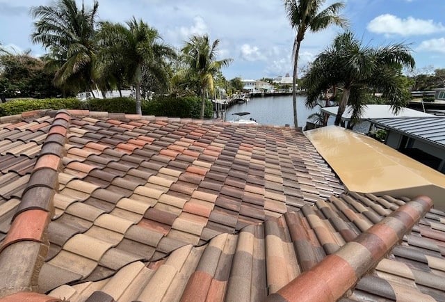 tile roof soft washing services