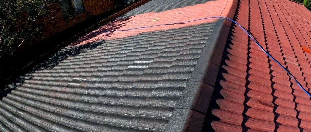 tile roof painting services