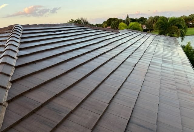 roof soft wash fort lauderdale