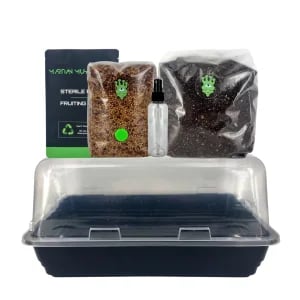 Buy Magic Mushrooms in Winnipeg, Canada