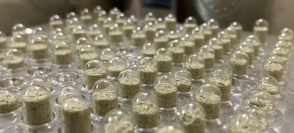 Buy Magic Mushrooms in Ottawa, Canada
