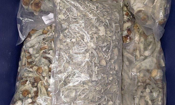 Buying Magic Mushrooms in Edmonton Canada