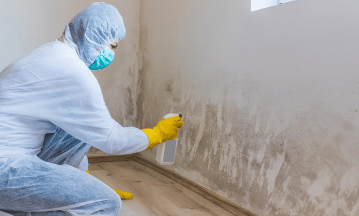 asbestos abatement