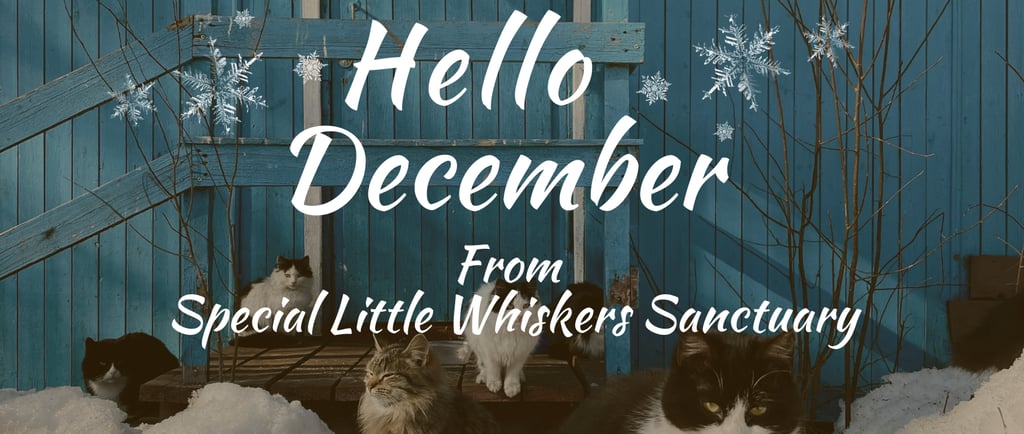 A group of cats sitting on top of a pile of snow