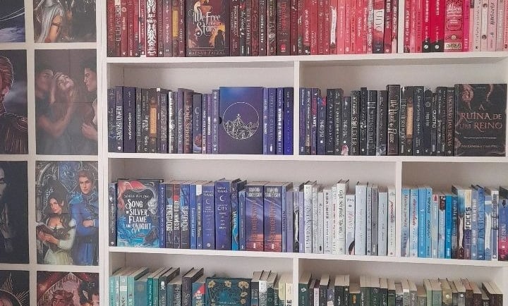 a room with a well-organized bookshelf and a few posters