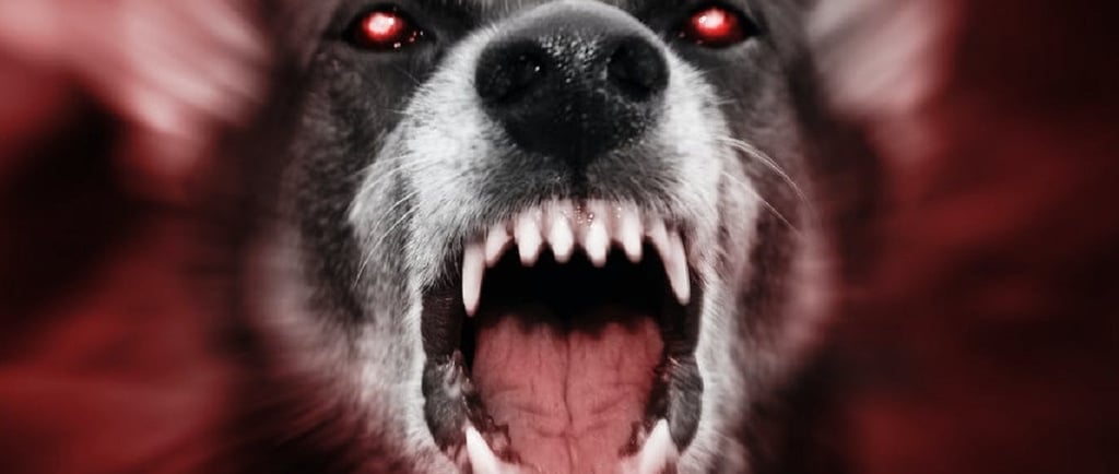 Cachorro na Bíblia