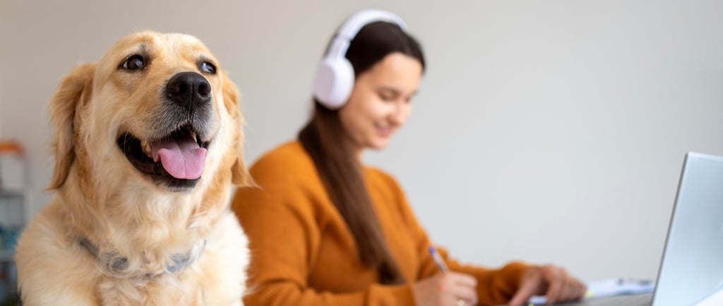 Fase na vida dos cães