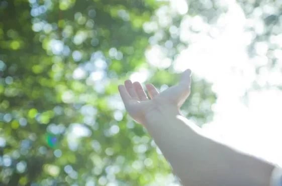 Main ouverte vers la lumière à travers les arbres, symbole d’apaisement et de reconnexion à soi en sophrologie