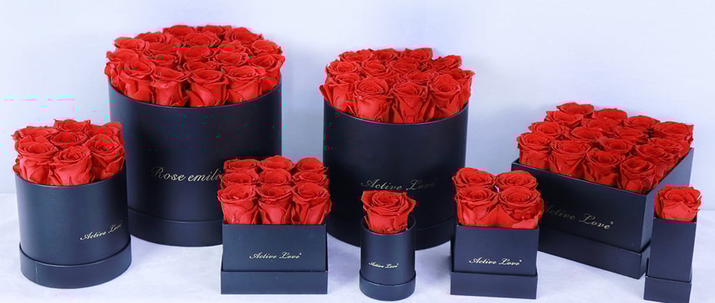 preserved rose gift box