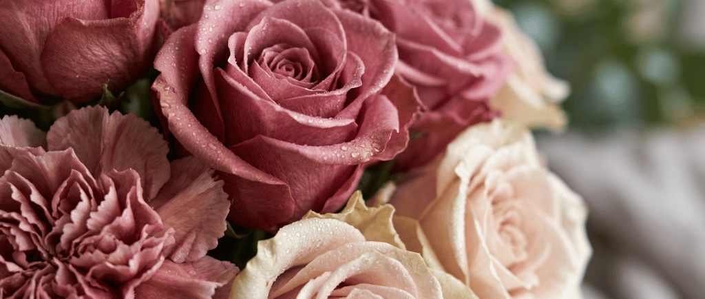 Macro view: dewy preserved roses, carnations with velvety petals, curling edges, natural look.
