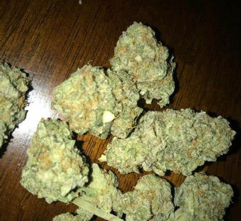 amnesia haze strain