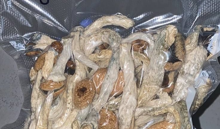 Psilocybin Mushroom Shops in Perth WA