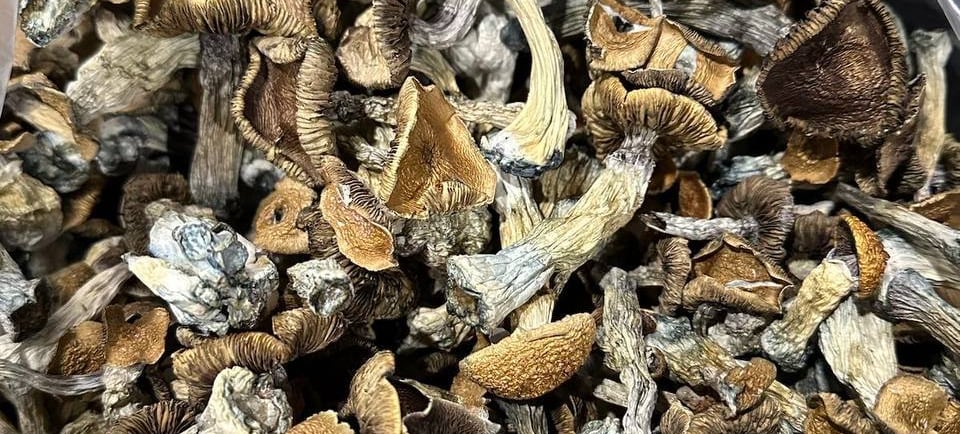 where we can Buy Magic Mushrooms Online in Australia