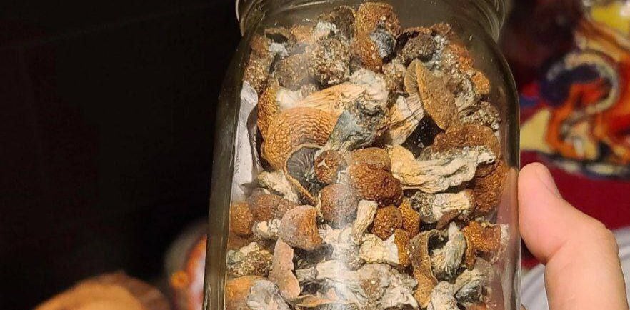Buying Magic Mushrooms in Australia: The Best Sites Revealed!