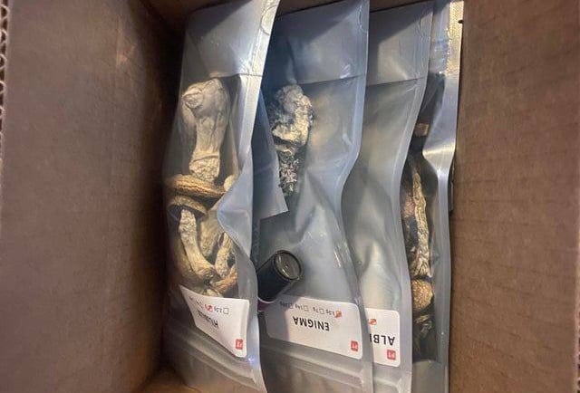 where in perth can i buy magic mushrooms in perth