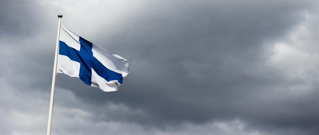 Finlandiya bayrağı
