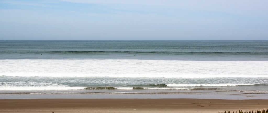 Coastal Humidity & Mold Prevention