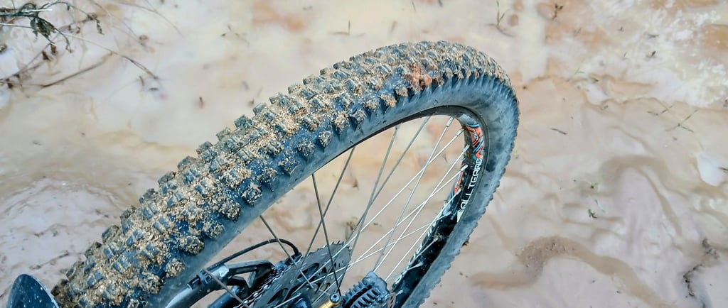 best mtb tires for wet condition. mtb tire sitting in mudd