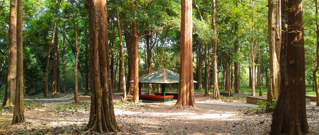 eco-friendly teak furnishings