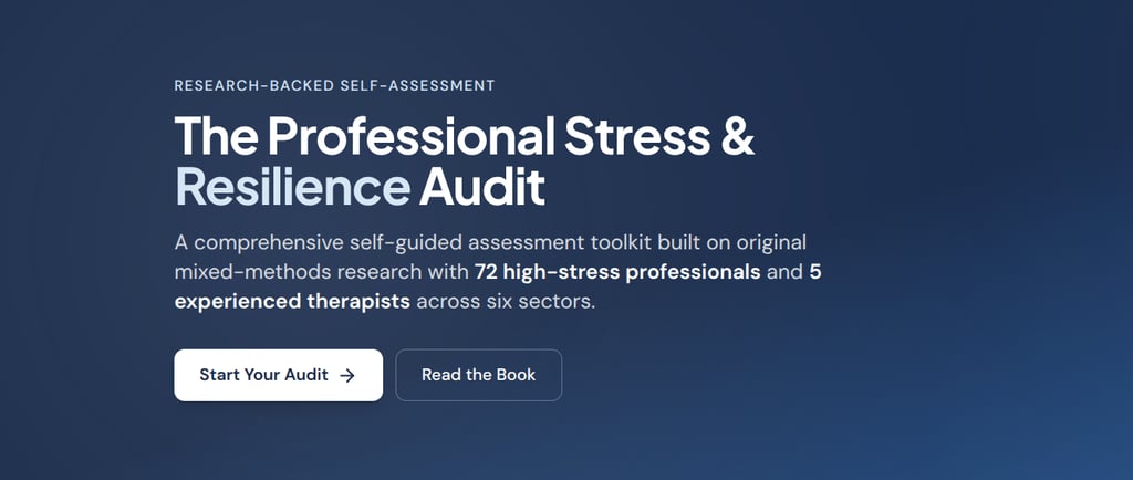 stress audit toolkit banner
