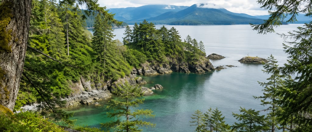 trees and water on vancouver island with mountains in the background