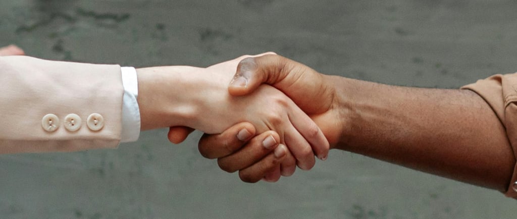 How to Choose the Right Board Member in Bangor Maine