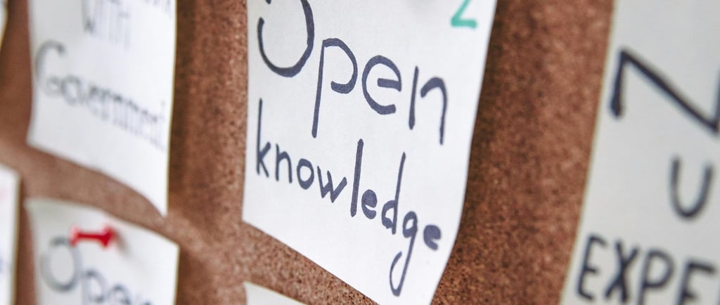 Navigating the AI Hype Cycle