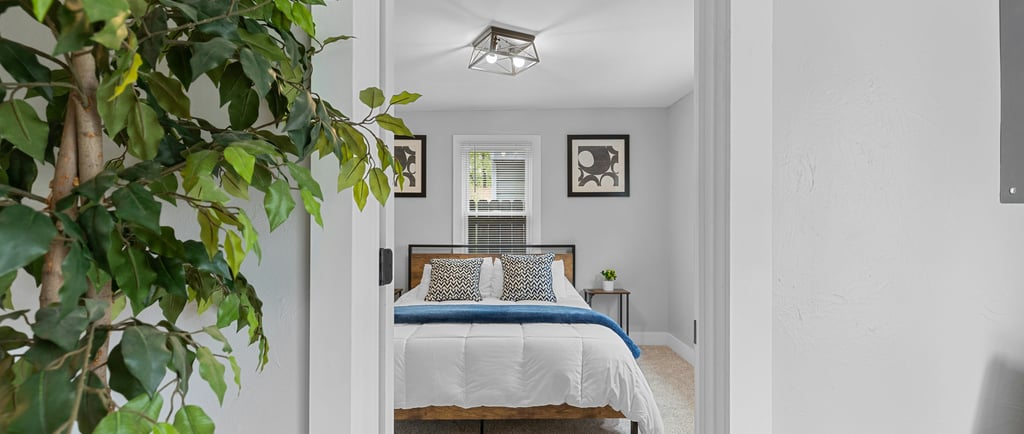 a calm relaxing bedroom space with a plant in the foreground