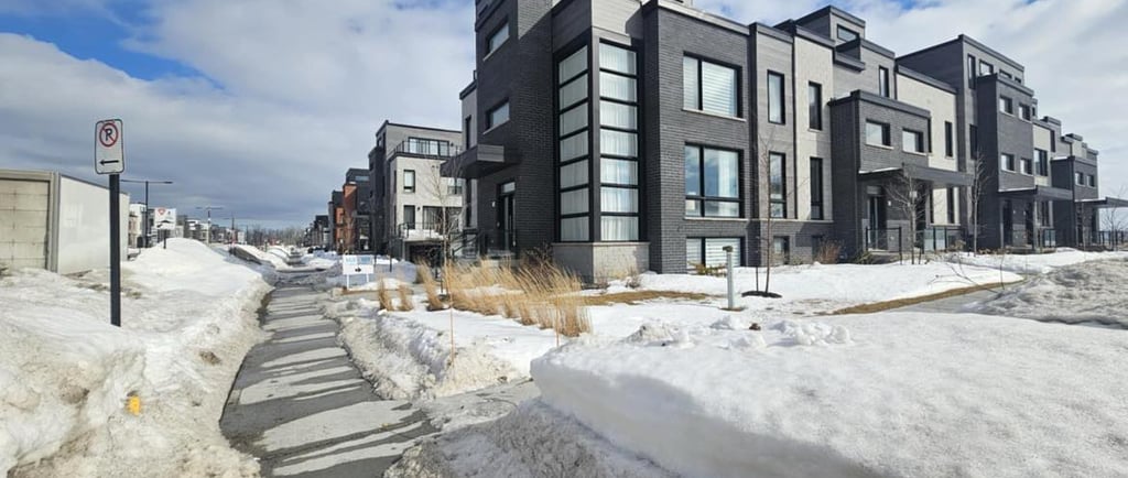 Réserver un déménagement à temps avec Virtus Déménagement – Conseils pratiques pour planifier