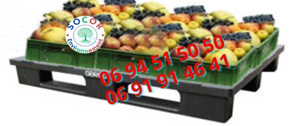 palette maroc contactez le 0694515050