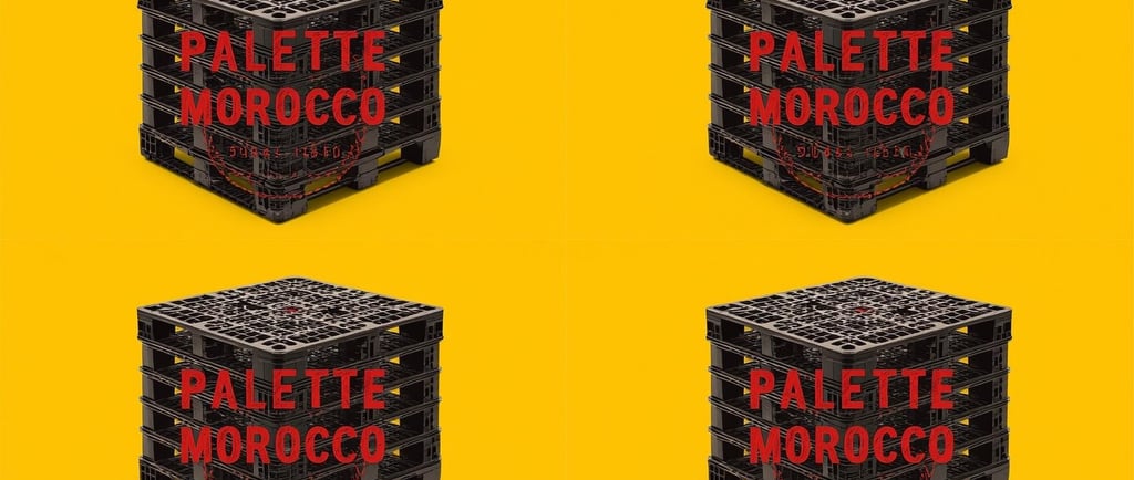 Palette plastique Maroc 