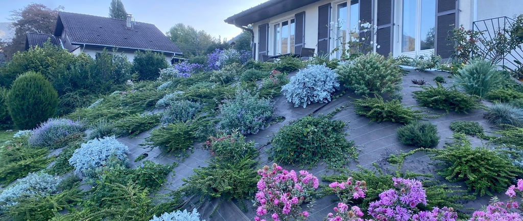 Vide Plantation de fleurs et arbustes ornementaux sur un talus végétalisé à Val de chaise