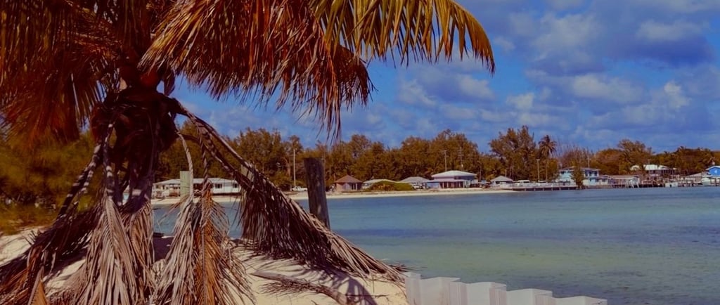 Views of Bimini in the Bahamas with palm tree and white seawall overlooking a turquoise ocean bay .
