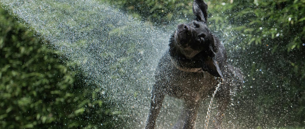 Cooling Off That Summer Heat