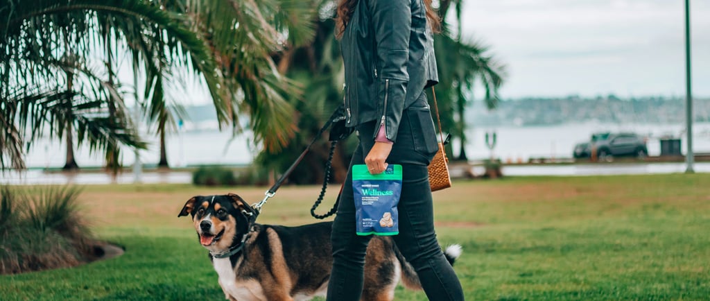Charleston chews on the go