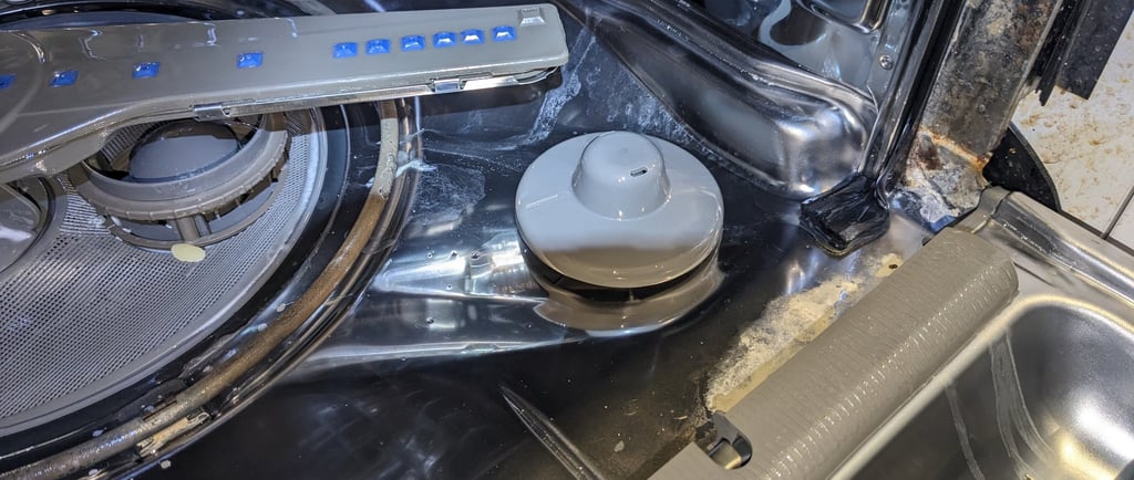 Stainless steel dishwasher showing overflow switch