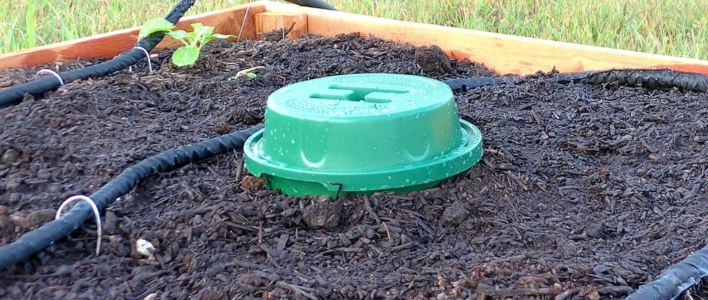 Close-up of an in-ground worm bin lid in a raised bed garden