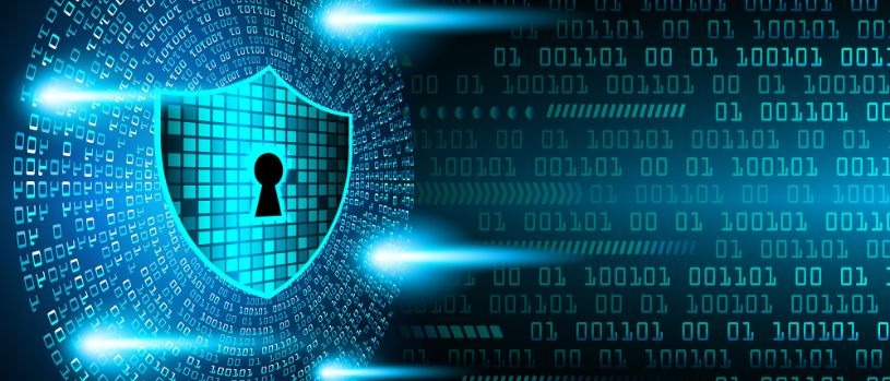 Cyber hygiene practices for employees
