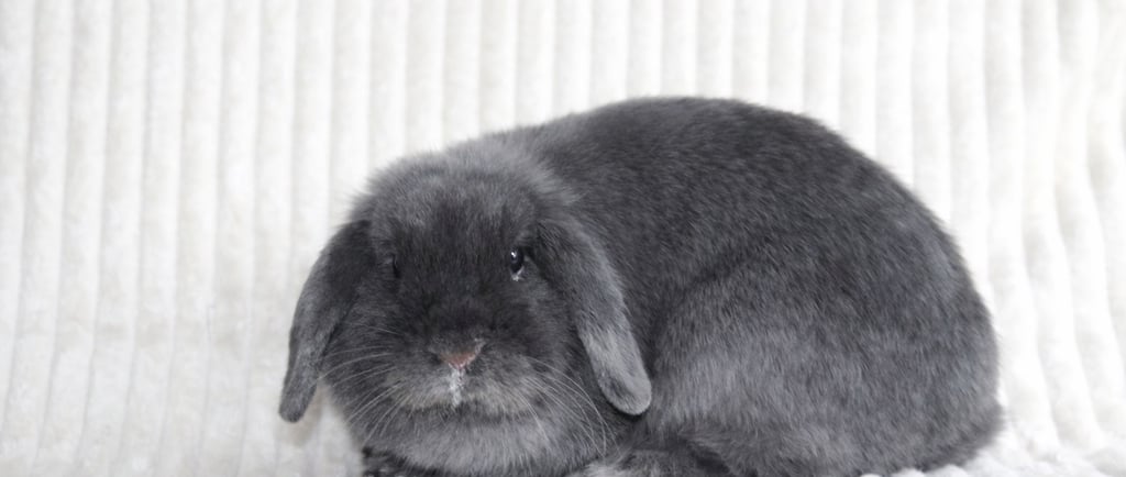 Hot Cross Buns' Boopsy with AI added elements to make her look like she has a runny nose