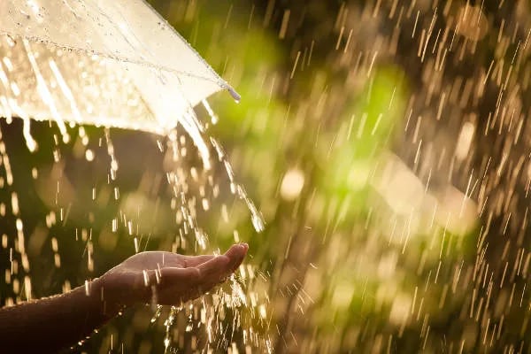 chuva, filtrox bueiros, bueiro ecologico