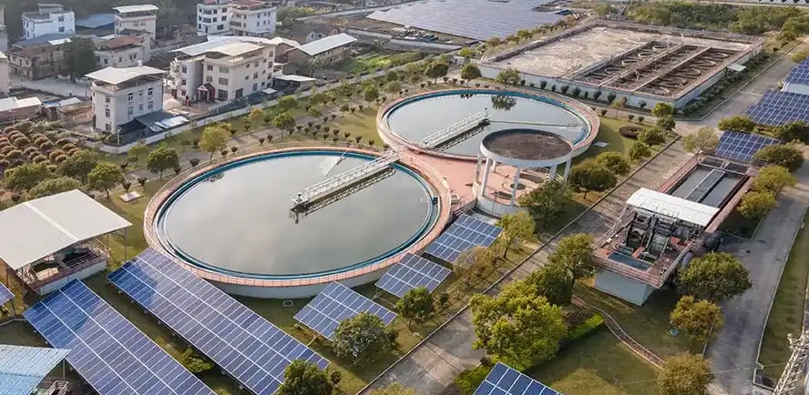 sabesp, privatização. filtros para bueiros, filtro ecologico, alessandra guelber,thiago guelber