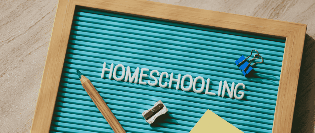 why more homeschooling options aren't always better
