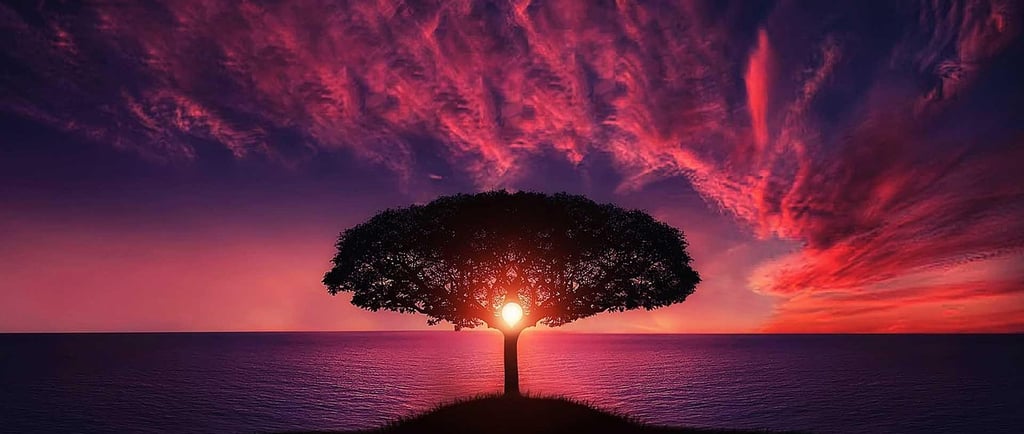 Serene Solutions Religious Trauma