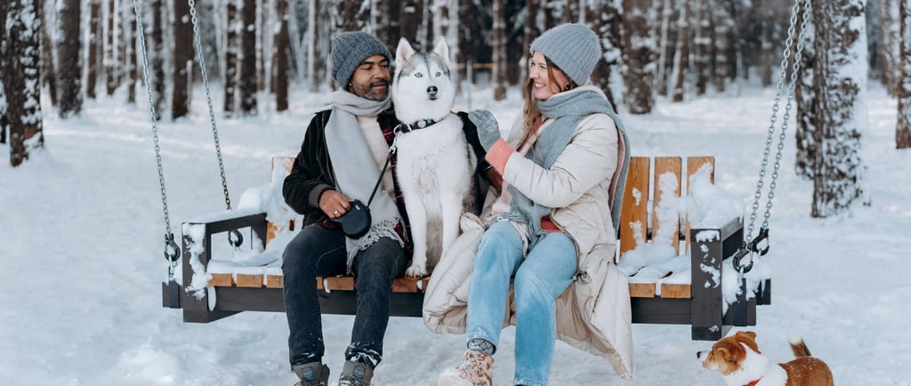 keeping pets safe in extreme cold