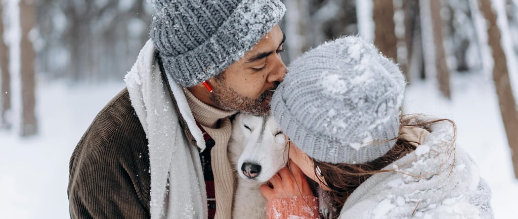 Winter Immune Boosters for Pets